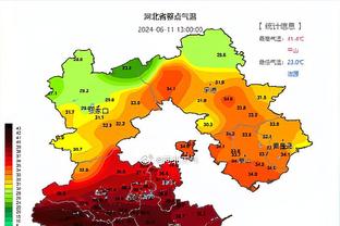 意天空：雷特吉本轮意甲进球后，被对方球迷丢杂物击中头部